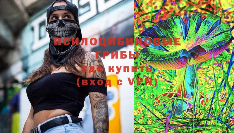 Галлюциногенные грибы Psilocybine cubensis  shop Telegram  Аша 